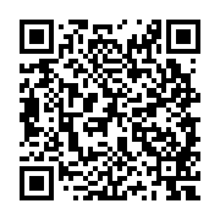 QR code for ZVT389