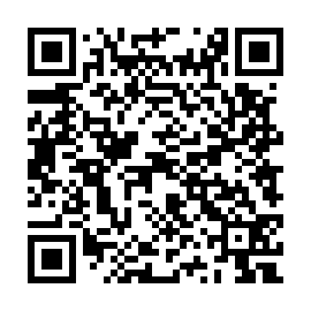 QR code for ZVT532