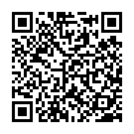 QR code for ZVT609
