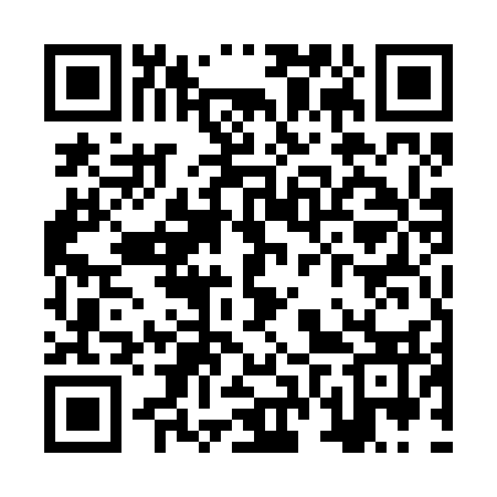 QR code for ZVU233