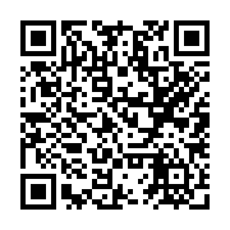 QR code for ZVW384