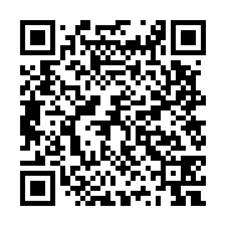 QR code for ZVW538