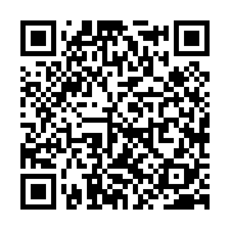 QR code for ZVX028