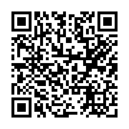 QR code for ZVX328