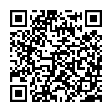 QR code for ZVX402