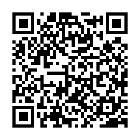 QR code for ZVX535