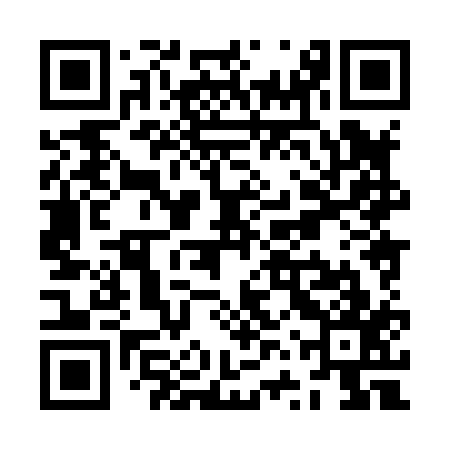 QR code for ZVX817