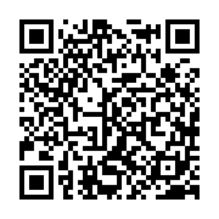 QR code for ZVX951