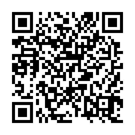 QR code for ZVZ302
