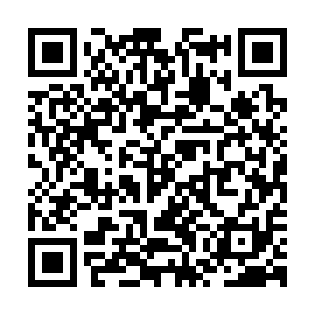 QR code for ZWE311