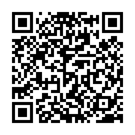 QR code for ZWE439