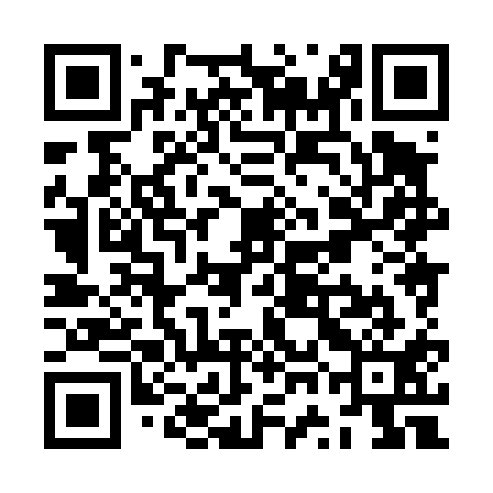 QR code for ZWH411