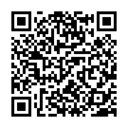 QR code for ZWL038