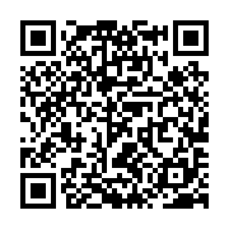 QR code for ZWL295