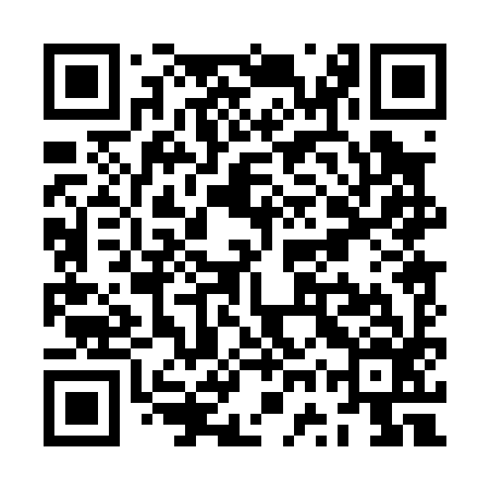 QR code for ZWP096