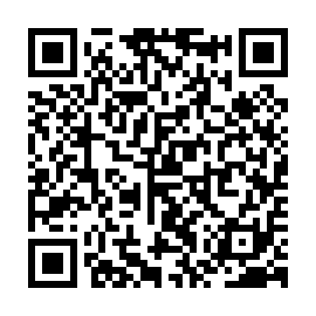 QR code for ZWS011