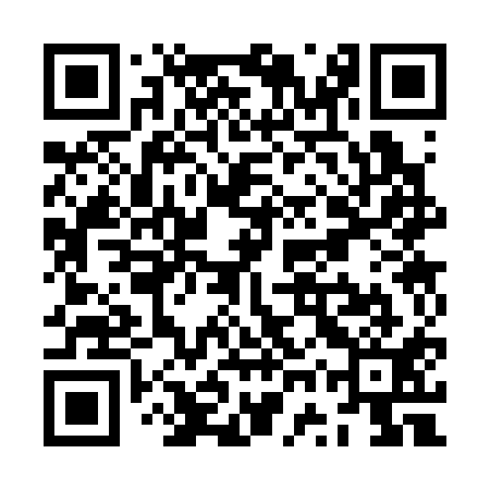 QR code for ZWS311