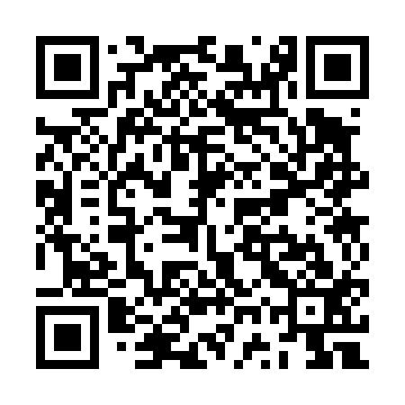QR code for ZWS413