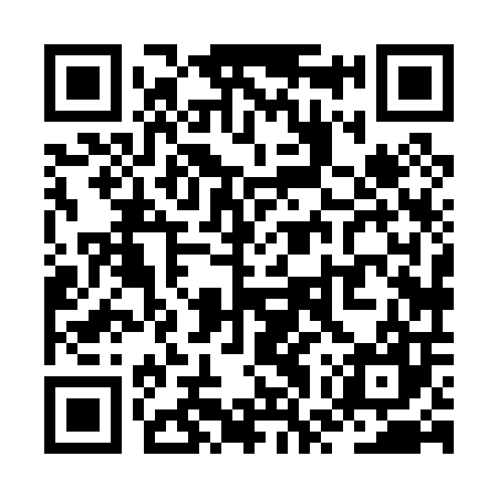 QR code for ZWX007