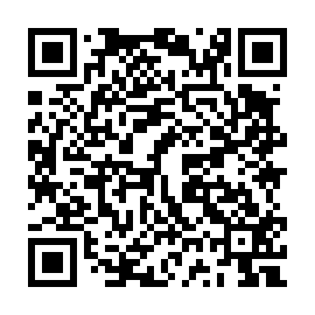 QR code for ZWY413
