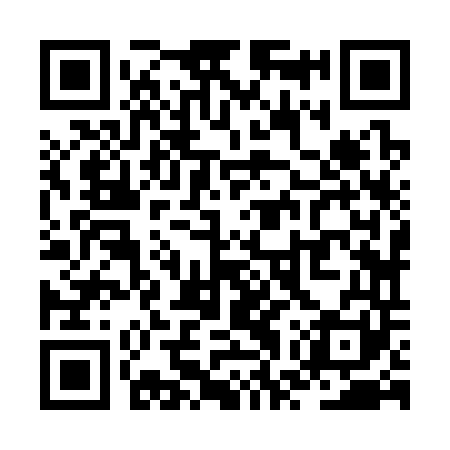 QR code for ZWZ341