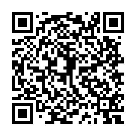 QR code for ZWZ511