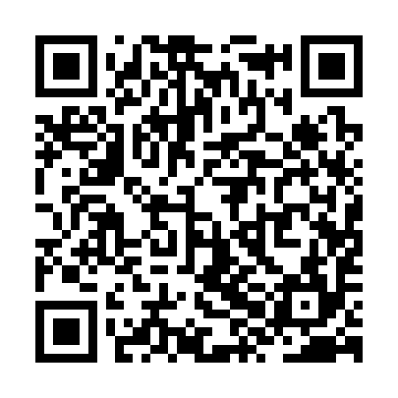 QR code for ZXA394