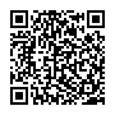 QR code for ZXB334