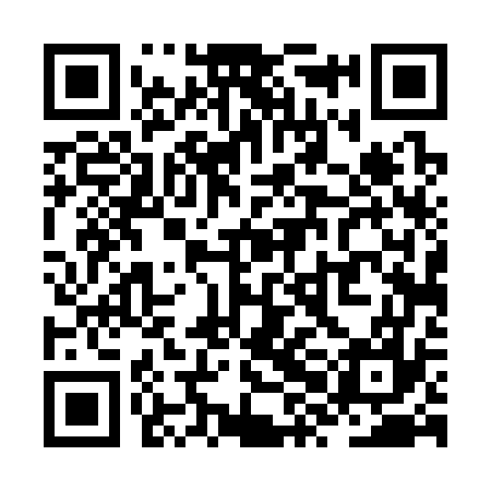 QR code for ZXD377