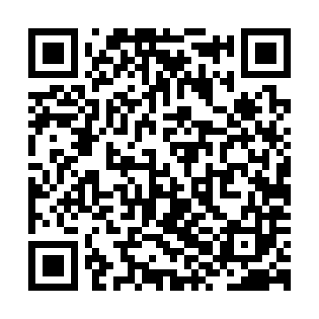 QR code for ZXD383