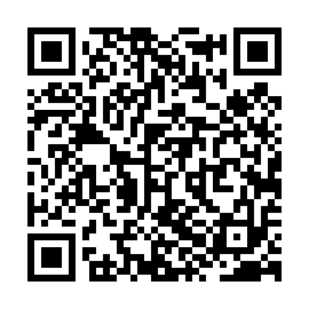 QR code for ZXD413