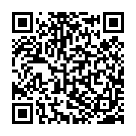 QR code for ZXD493