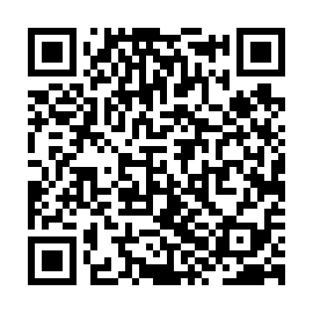 QR code for ZXD619