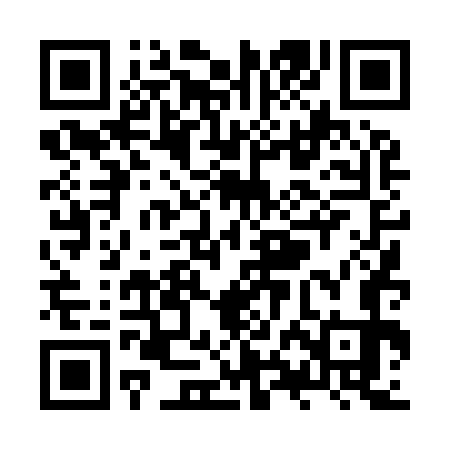 QR code for ZXD973