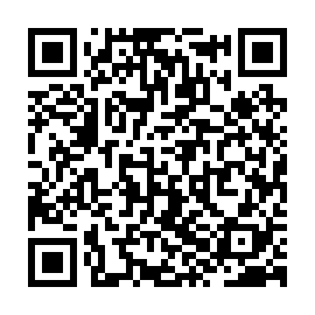 QR code for ZXE228