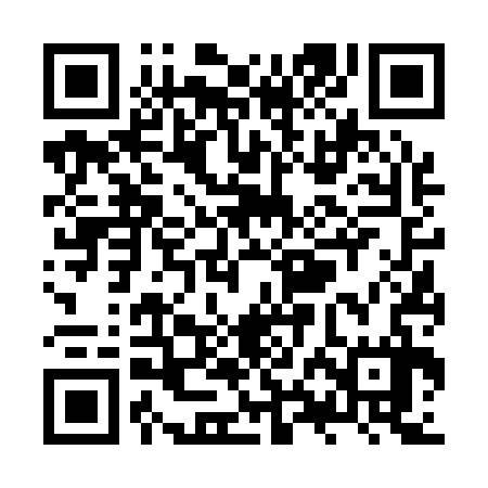 QR code for ZXF137