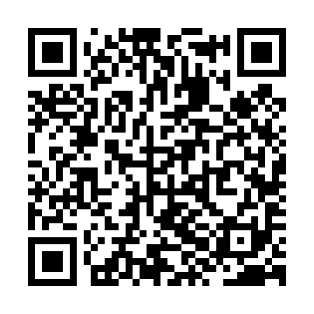 QR code for ZXF491