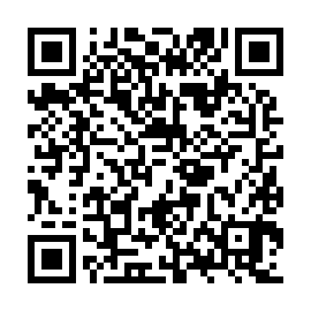 QR code for ZXF980