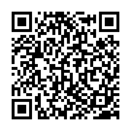 QR code for ZXG203
