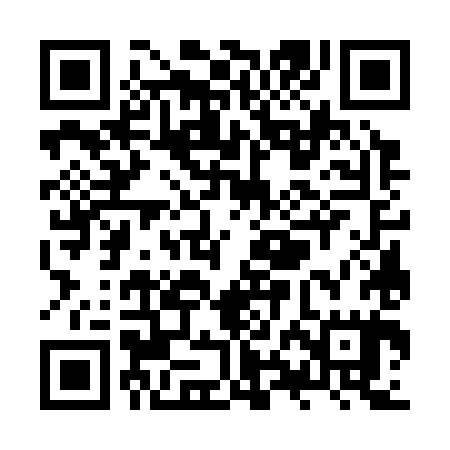 QR code for ZXG385