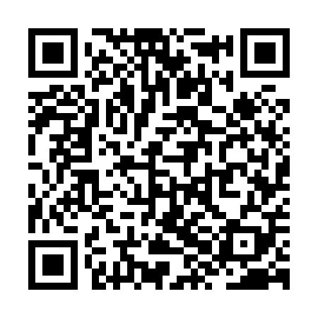QR code for ZXG809