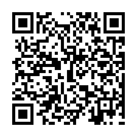 QR code for ZXG995