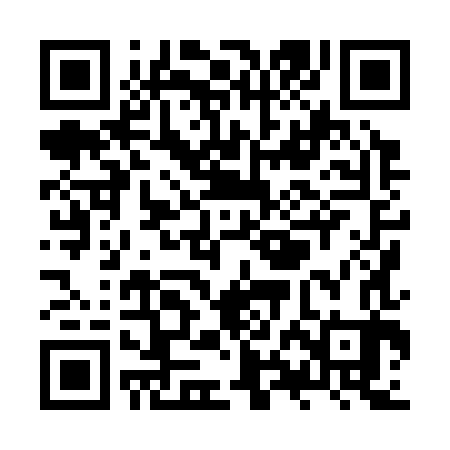 QR code for ZXH383