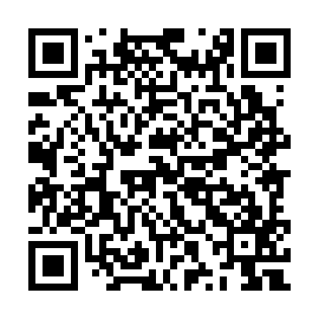 QR code for ZXH397