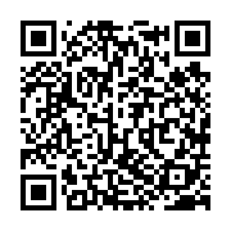 QR code for ZXH608