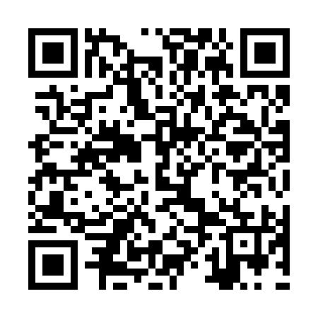 QR code for ZXI295