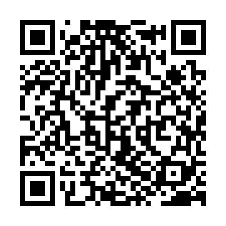 QR code for ZXI369