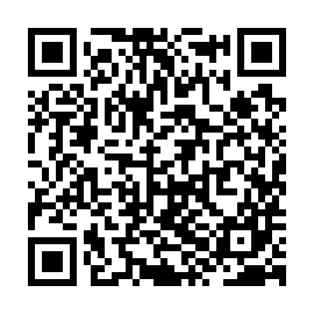 QR code for ZXI787