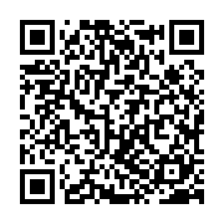 QR code for ZXJ125