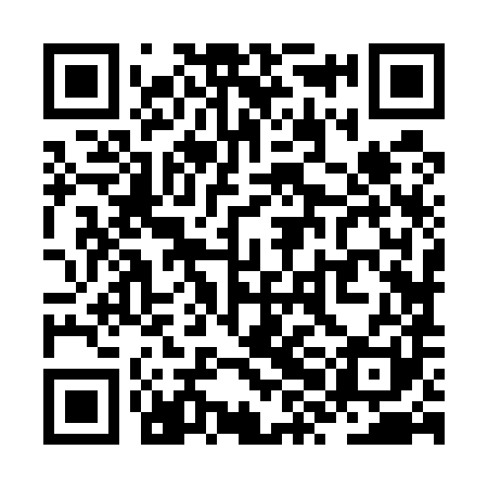 QR code for ZXJ581
